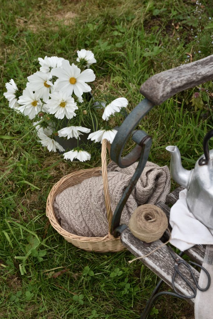 Five Easy Annual Cut Flowers to Grow From Seed • Hollie Berries