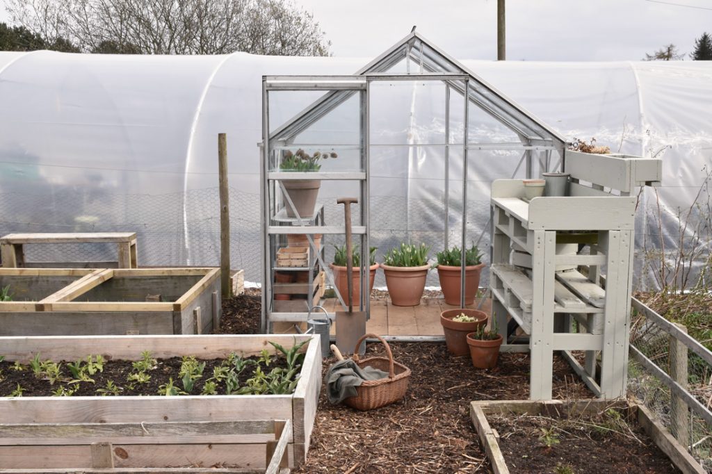 Allotment Diaries: March 2021